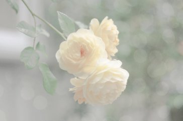 山東成考考試試卷上填錯(cuò)了該怎么辦