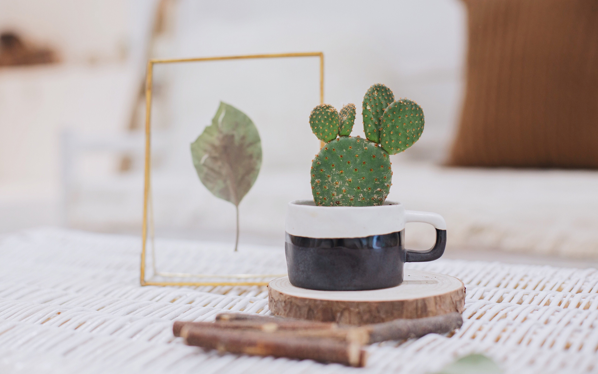 山東成人高考通過后畢業難嗎?