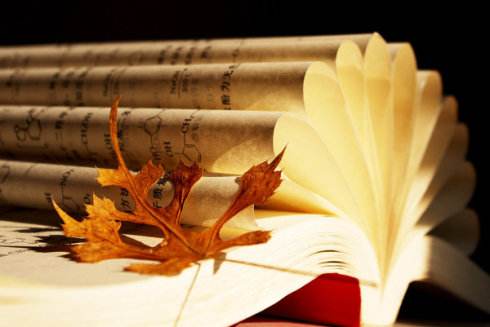 山東成人高考畢業后可申請學士學位嗎?