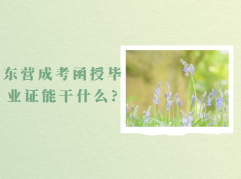 東營(yíng)成考函授畢業(yè)證能干什么?