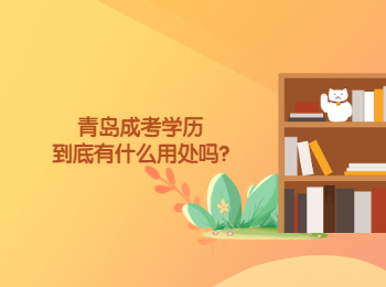 青島成考學歷到底有什么用處嗎?