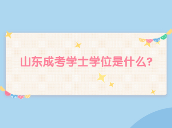山東成考學士學位是什么?