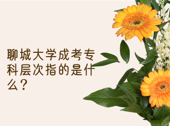 聊城大學成考專科層次指的是什么?