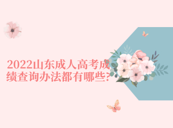 2022山東成人高考成績查詢辦法都有哪些?