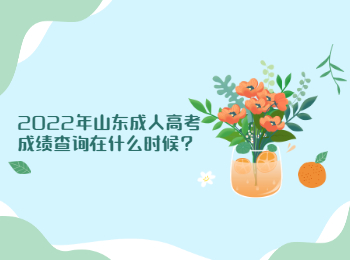 2022年山東成人高考成績查詢在什么時候?