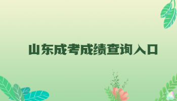 山東成考成績查詢入口