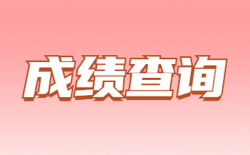 2022年山東成人高考成績查詢方法