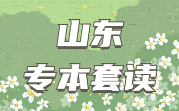 山東專本套讀詳細介紹
