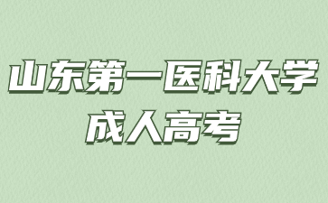 山東第一醫(yī)科大學成考本科學歷可以考公務員嗎?