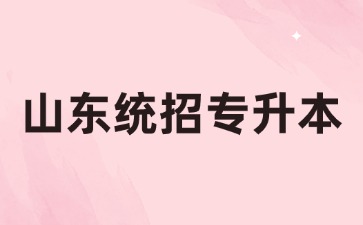 2024年山東統招專升本各學校學費標準