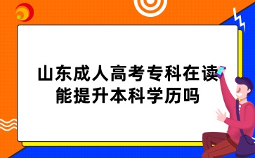 山東成人高考專科在讀，能提升本科學(xué)歷嗎