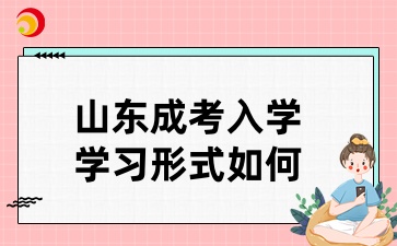 山東成考入學后的學習形式如何